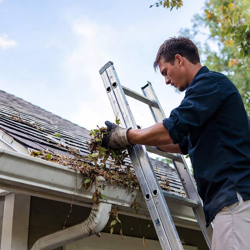 Gutter Cleaning - Colorado Springs, CO