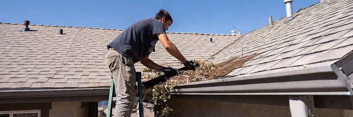 Gutter Cleaning Main